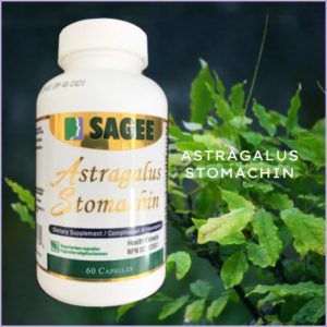 Astragalus Stomachin