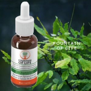 Fountain of life