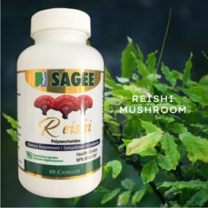 Reishi Mushroom